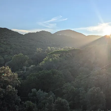 La De Ptitruc Au Coeur Du Maquis Quarto em Acomodações Particulares Granace