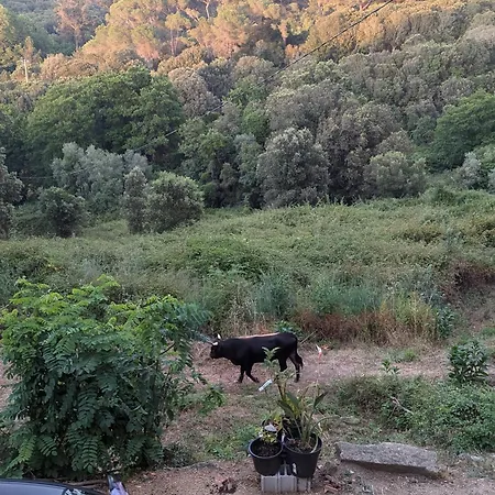 Quarto em Acomodações Particulares La De Ptitruc Au Coeur Du Maquis Granace