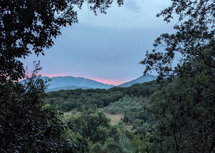 La De Ptitruc Au Coeur Du Maquis * Granace