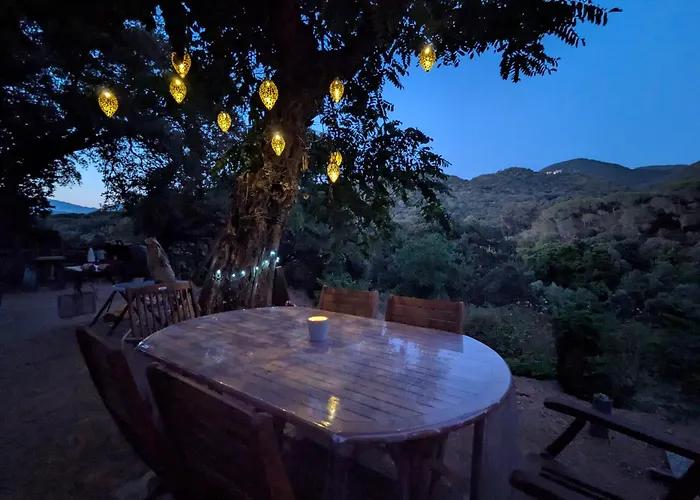 La De Ptitruc Au Coeur Du Maquis