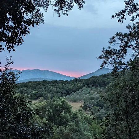 La De Ptitruc Au Coeur Du Maquis * Granace