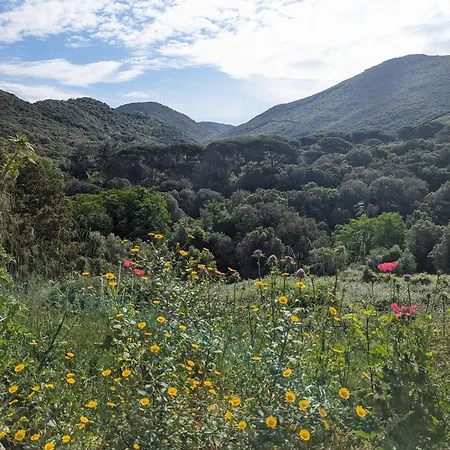 ホームステイ La De Ptitruc Au Coeur Du Maquis