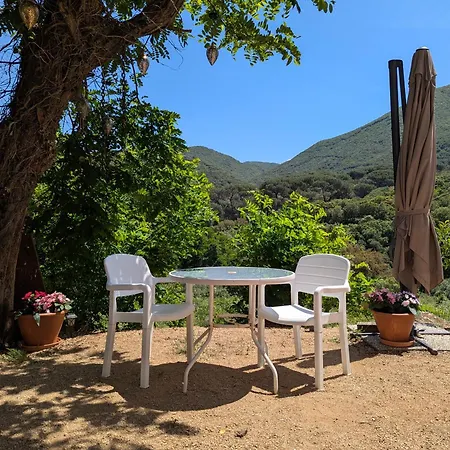 Homestay Au Coeur Du Maquis Sartenais