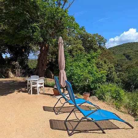 La De Ptitruc Au Coeur Du Maquis ホームステイ Granace