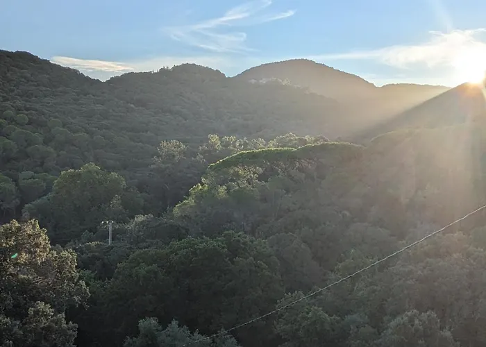 La De Ptitruc Au Coeur Du Maquis Ubytování v soukromí Granace