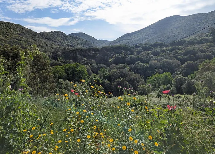 Ubytování v soukromí La De Ptitruc Au Coeur Du Maquis
